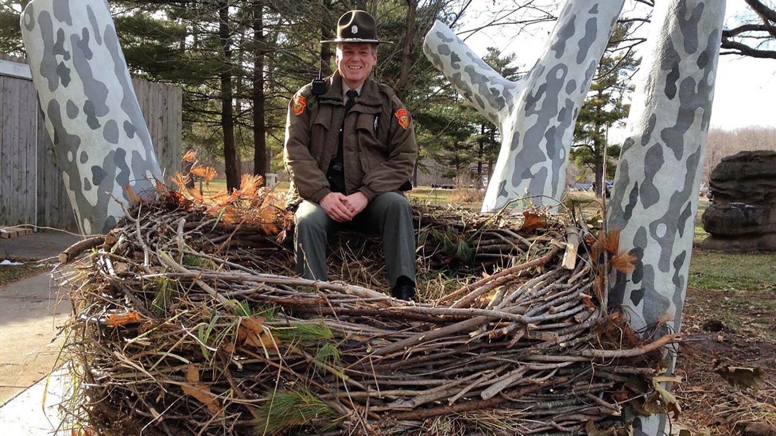 Eagles’ nests are huge, sometimes weighing more 1,000 pounds, and it takes generations of the raptors to build them. The most colossal ones can be big enough to seat several people inside. At Heuston Woods State Park in Ohio, a replica bald eagle nest allows people to climb in and see just how huge they can get.