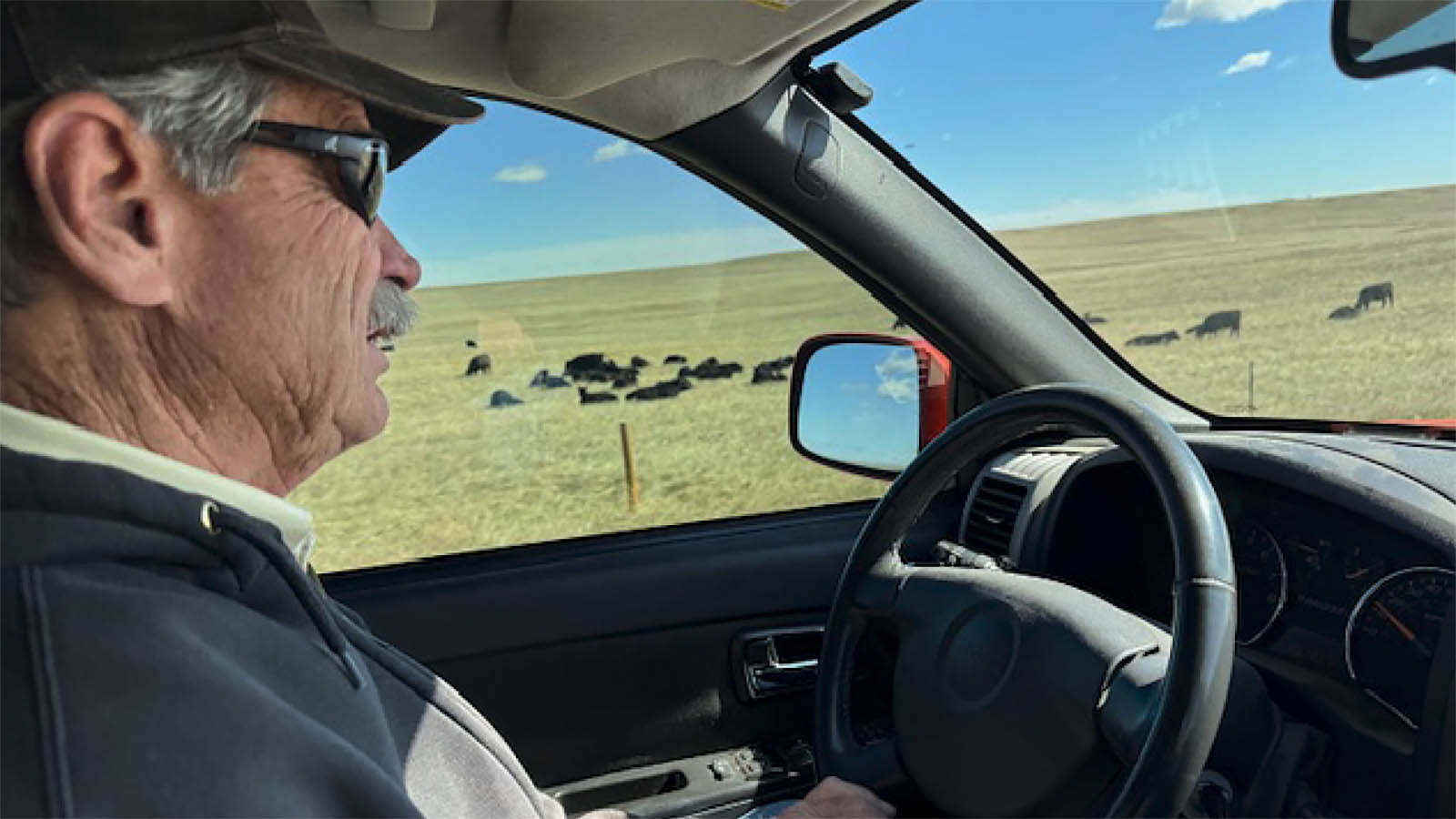 South Cheyenne rancher Ed Prosser drives past Black Angus cattle feeding on prairie grass near his 2,800-acre ranch. Canada energy giant Enbridge Inc. plans to build a $1.2 billion solar farm to the north and east of his land.