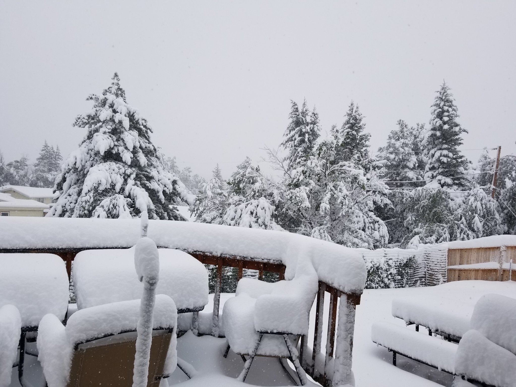 Eh Zd H Gu U8 AM0 Al D