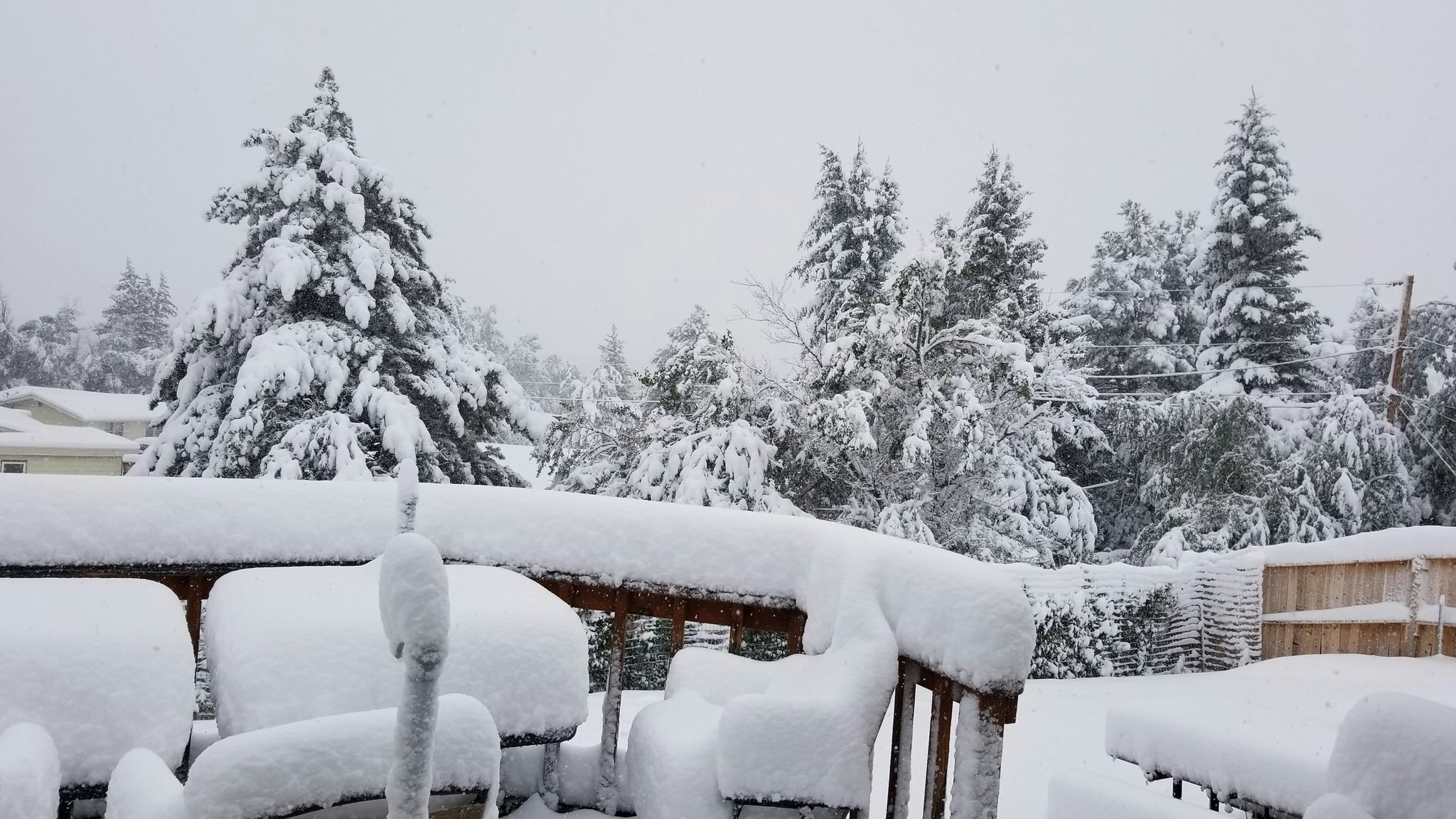 Eh Zd H Gu U8 AM0 Al D