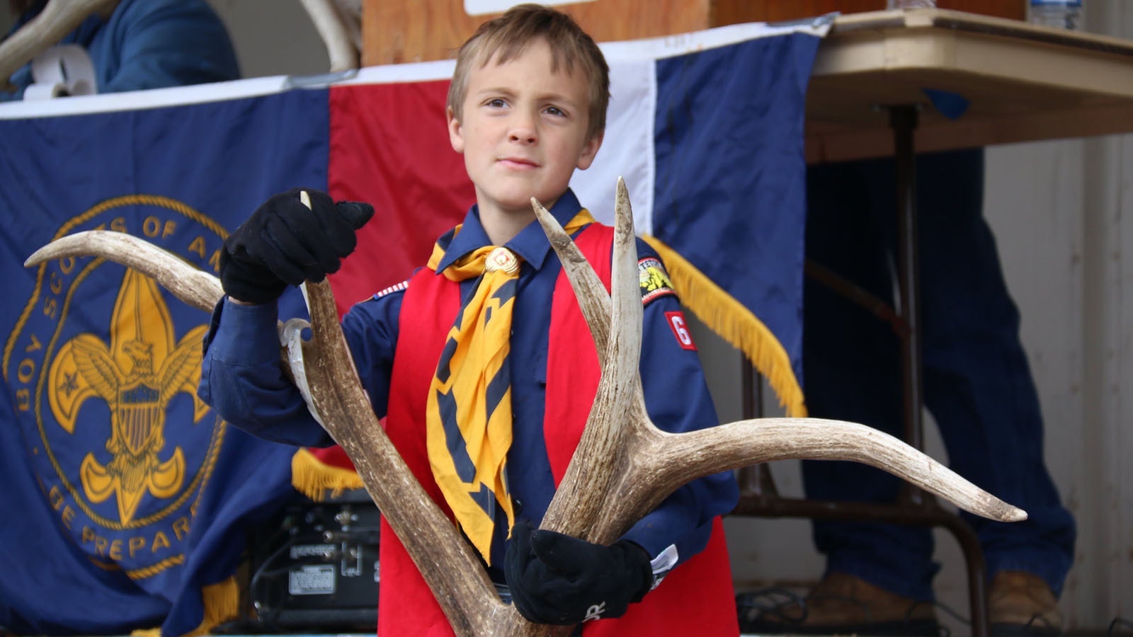 A Scout waits patiently during a bidding war holding a set of antlers that eventually sold for $27 per pound in 2013.