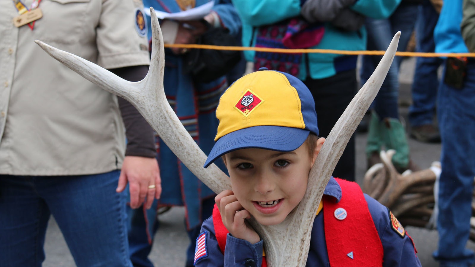 A Young Scout rests his head in the fork of an antler as he waits for his turn to take his auction lot up to the stage for bidding.
