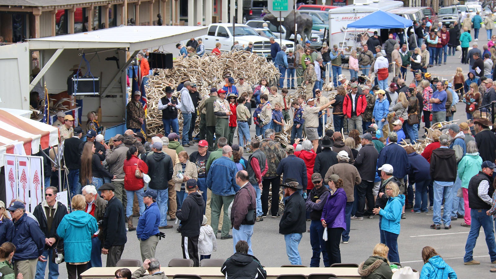 The annual ElkFest antler auction always draws big crowds and hundreds of bidders to Jackson, Wyoming.