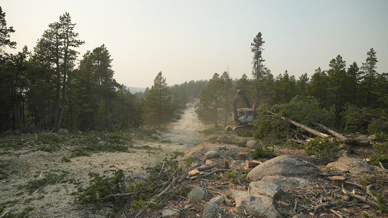 Red Grade Road is being prepared as a fire stop for the southern advancement of the Elk Fire.