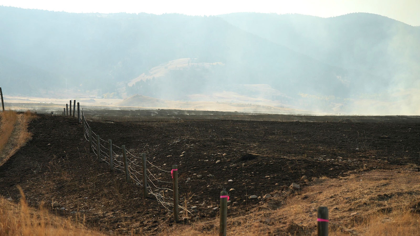 Strategic burning efforts meant to slow the progress of the Elk Fire.