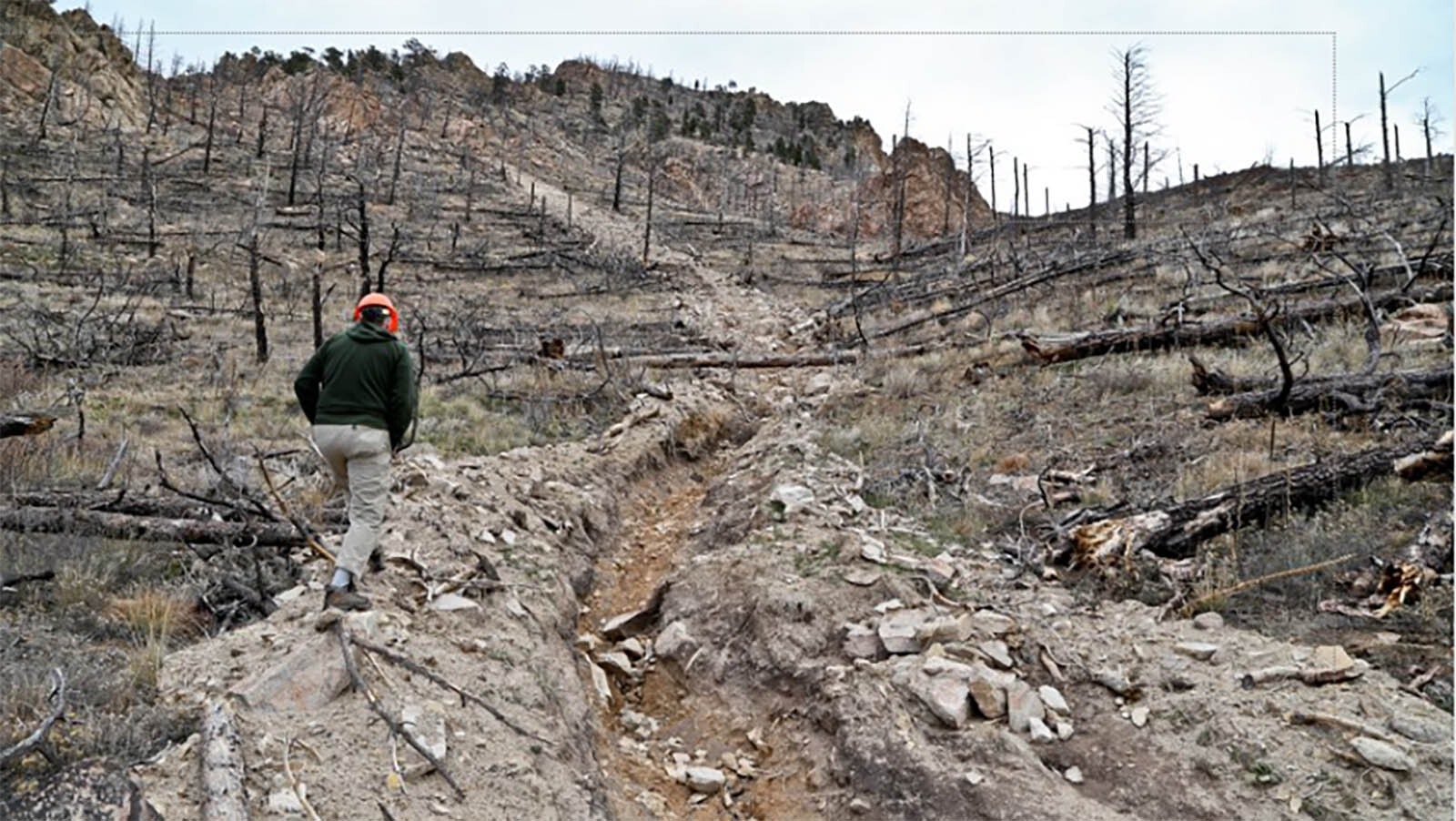 Members of the Elk Fire Burned Area Emergency Response Team assess the damage left by the wildfire and what will need to be done to repair or mitigate damages or other threats, like potential for invasive weeds, mudslides and debris flows.