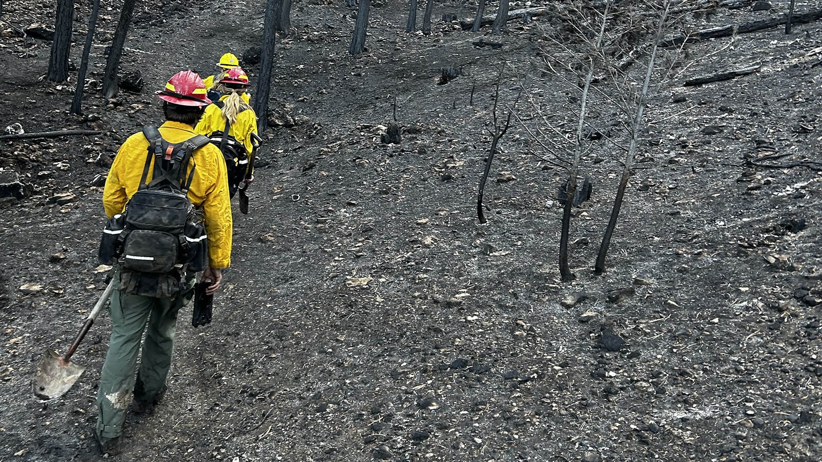 Members of the Elk Fire Burned Area Emergency Response Team assess the damage left by the wildfire and what will need to be done to repair or mitigate damages or other threats, like potential for invasive weeds, mudslides and debris flows.