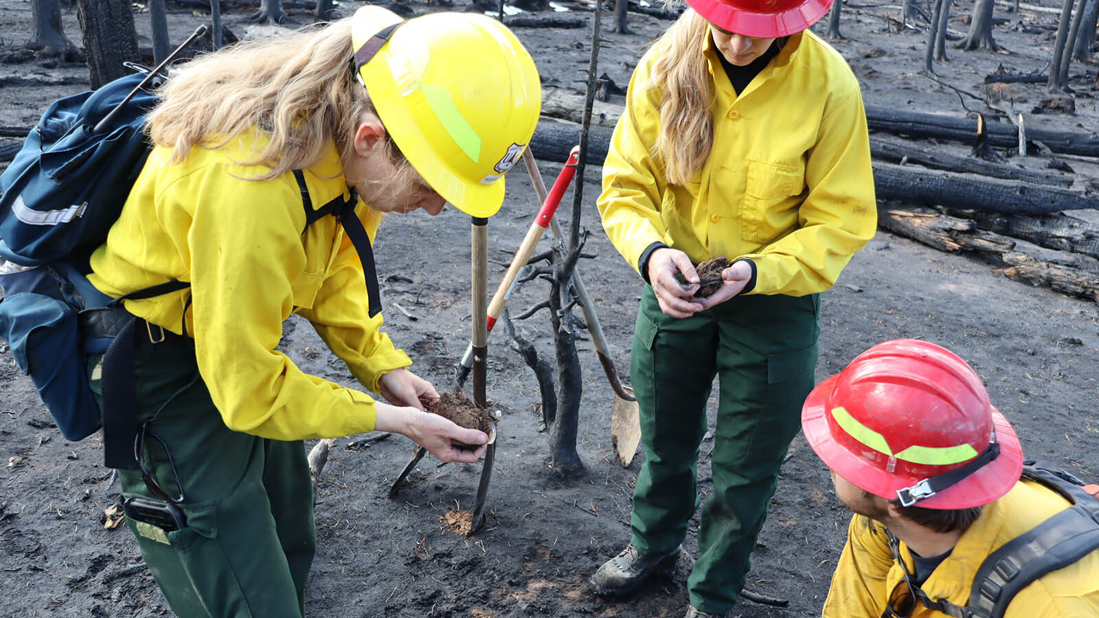 Members of the Elk Fire Burned Area Emergency Response Team assess the damage left by the wildfire and what will need to be done to repair or mitigate damages or other threats, like potential for invasive weeds, mudslides and debris flows.