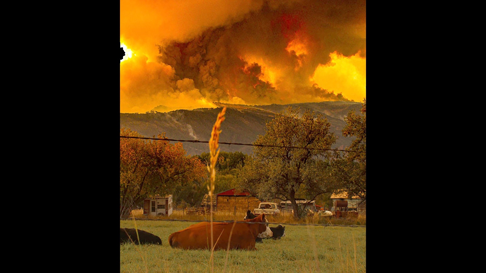 The Elk Fire in northwest Sheridan County, Wyoming, burns out of control.