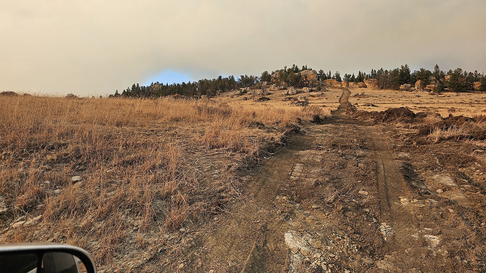 A dozer line stretching from Red Grade Road to the ridge.