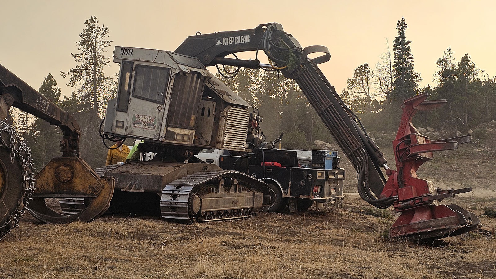 The feller buncher. It grabs a tree with the mechanical arms, cutting it at the base. Then it lifts the tree and whirls it around, before laying it down on a pile of its fellows.