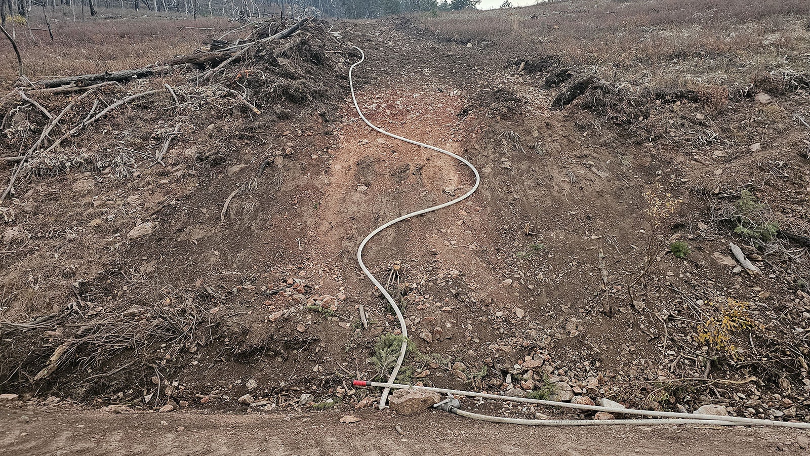 Fire hoses have been laid in strategic locations, while trees and vegetation are being removed from this hillside, which is steeper than it looks. It's around 45 degrees.