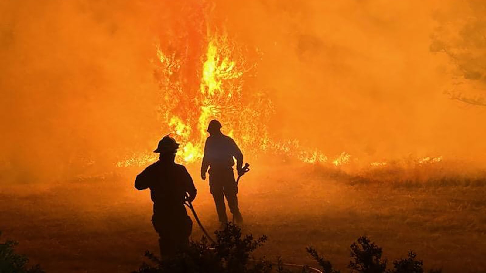 Crews from the Tongue River Fire Distict work to protect people and property from the Elk Fire.