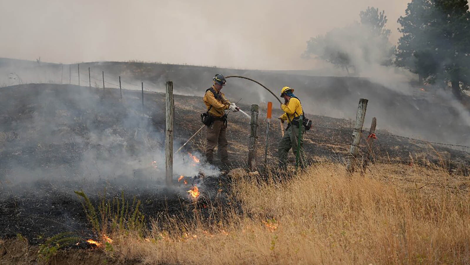 Firefighters on the ground do strategic burning to help gain control of the Elk Fire.