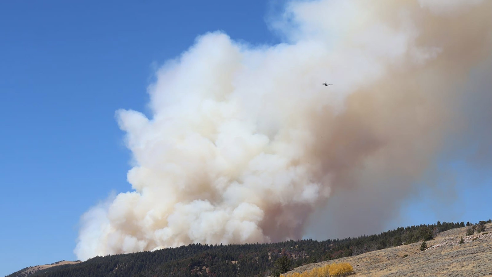 The tiny speck of an air tanker can be seen against the huge smoke column from the Elk Fire.