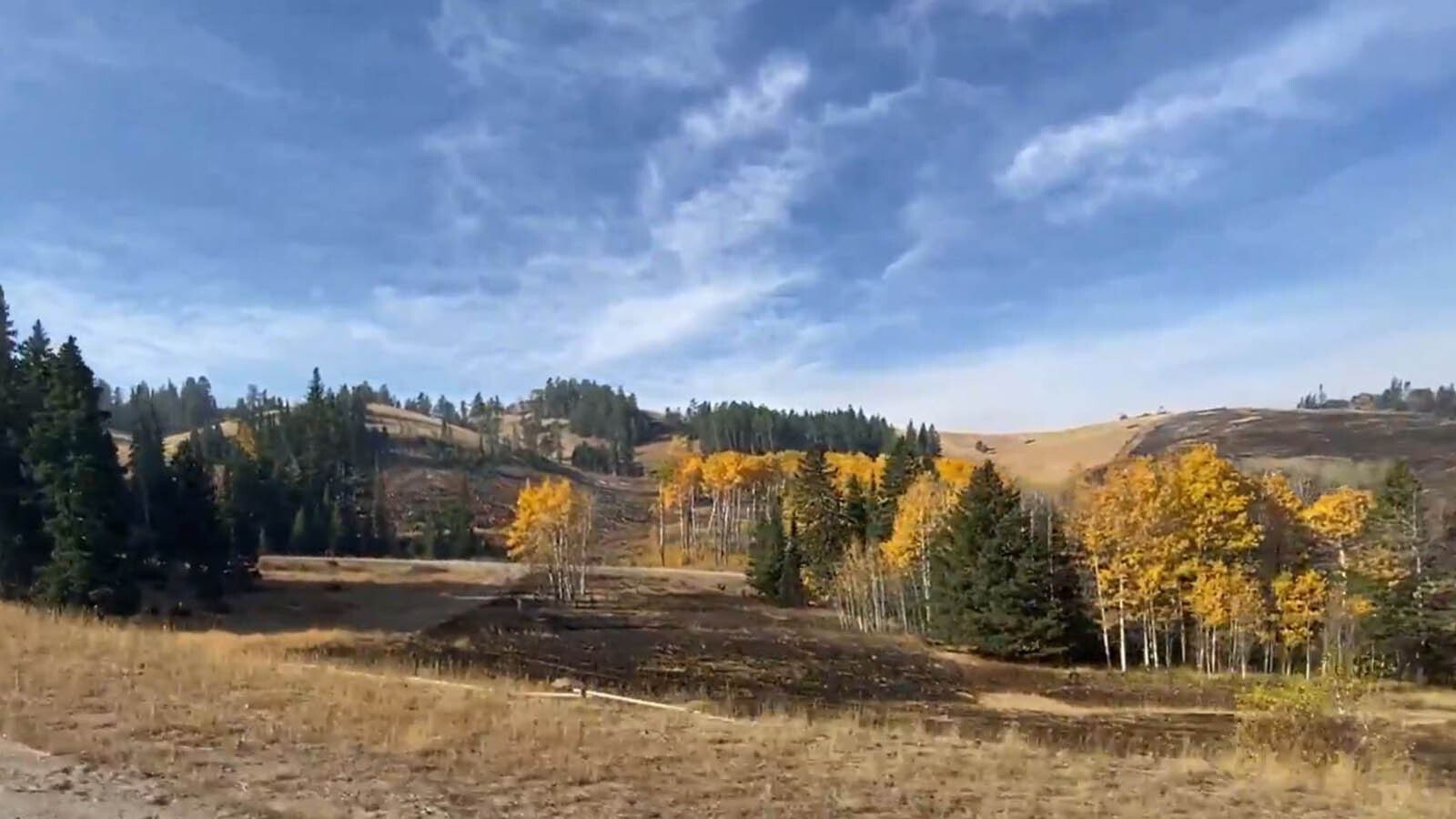 A drive along Highway 14 to see the aftermath of where the Elk Fire has burned across the face of the Bighorn Mountains in northern Wyoming shows the magnitude of how the fire has impacted the landscape.