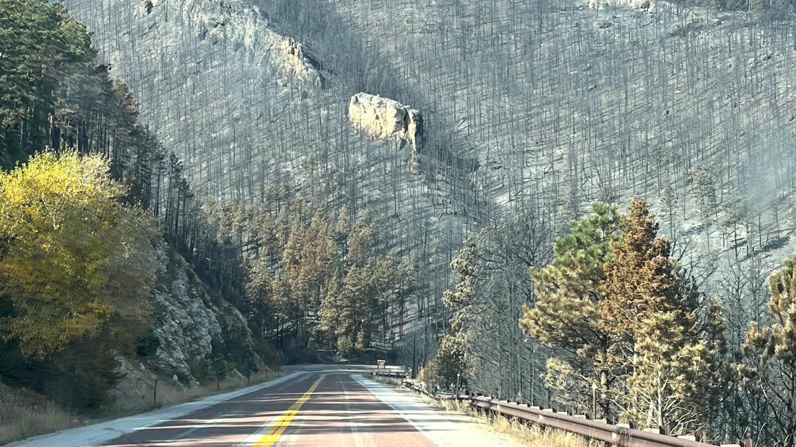 A drive along Highway 14 to see the aftermath of where the Elk Fire has burned across the face of the Bighorn Mountains in northern Wyoming shows the magnitude of how the fire has impacted the landscape.