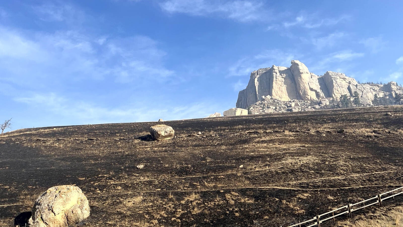 A drive along Highway 14 to see the aftermath of where the Elk Fire has burned across the face of the Bighorn Mountains in northern Wyoming shows the magnitude of how the fire has impacted the landscape.