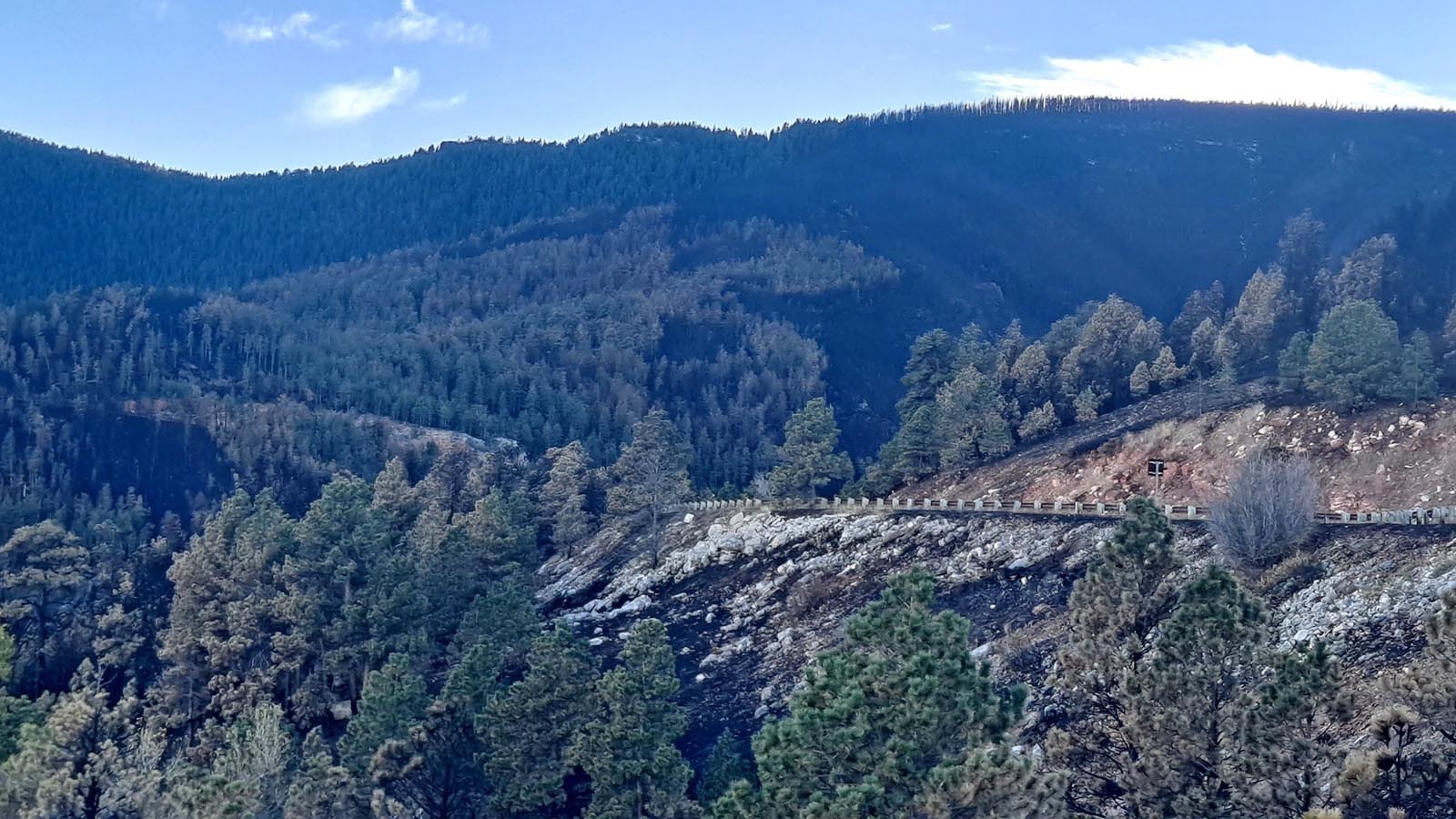 A view along Highway 14 shows large patches of black where the Elk Fire burned on the eastern Bighorn Mountains in northern Wyoming.