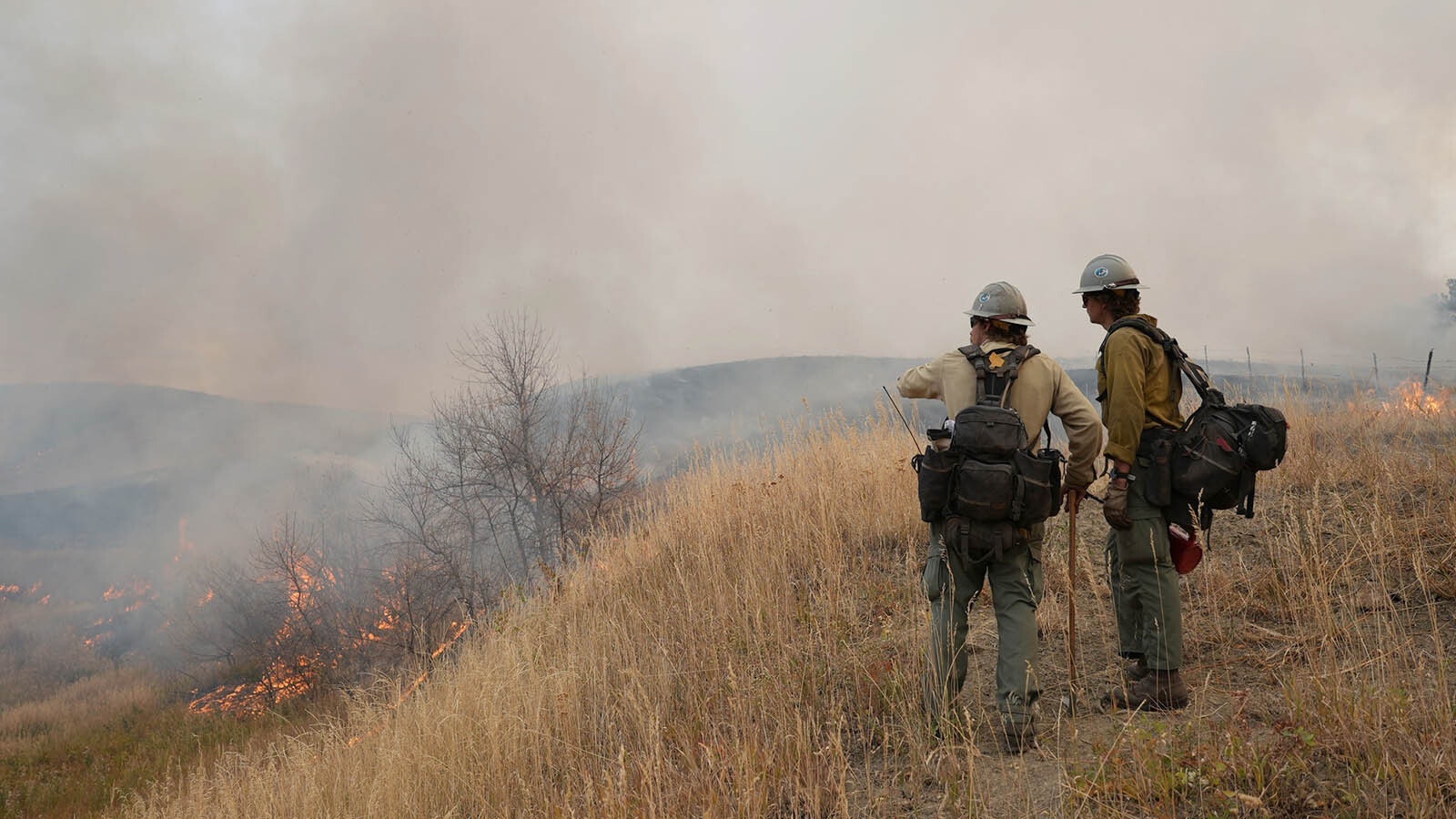 Firefighting crews worked overnight Thursday on back burning operations to battle the Elk Fire in northern Wyoming. Some of those including drones dropping incendiary devices in hard-to-get-to places and created an eerie glow in spots overnight.