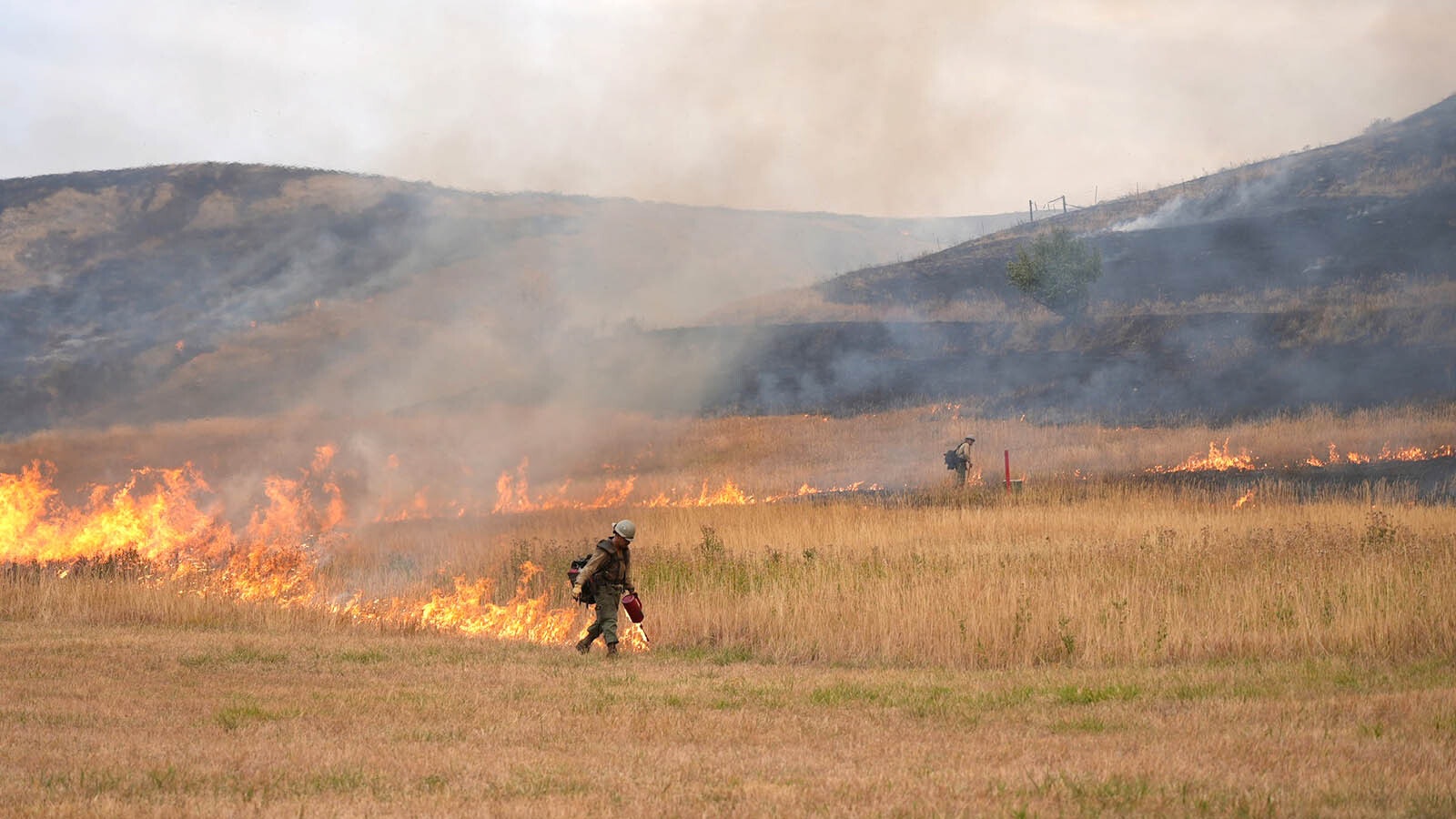 Firefighting crews worked overnight Thursday on back burning operations to battle the Elk Fire in northern Wyoming. Some of those including drones dropping incendiary devices in hard-to-get-to places and created an eerie glow in spots overnight.