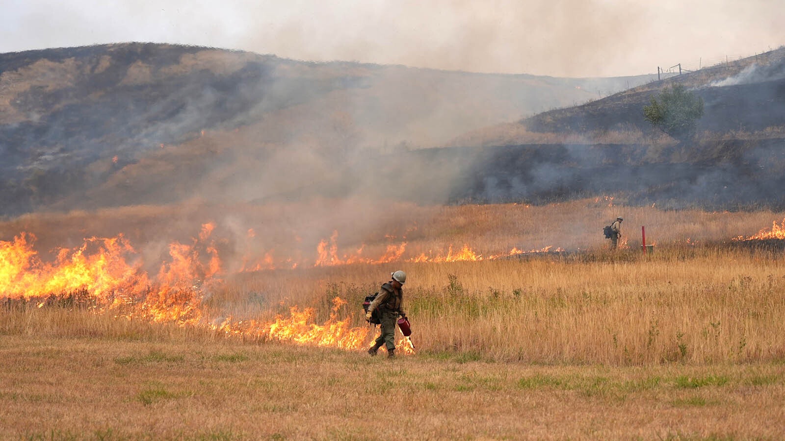 Firefighters on the ground do strategic burning to help gain control of the Elk Fire.