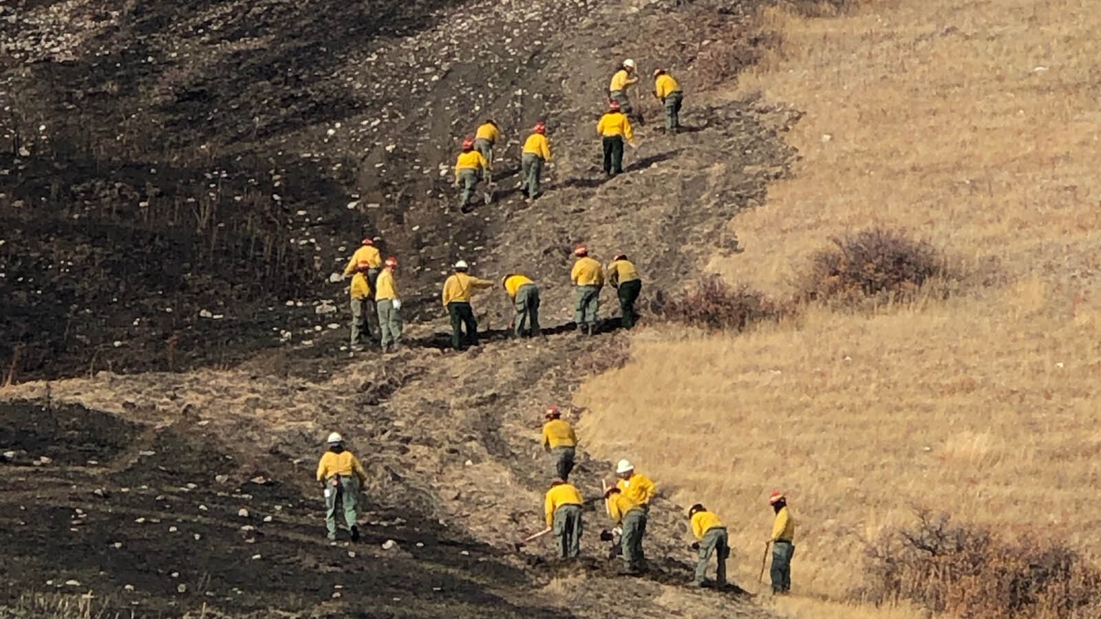 A hand crew works to repair ground along a burn line on the Elk Fire.