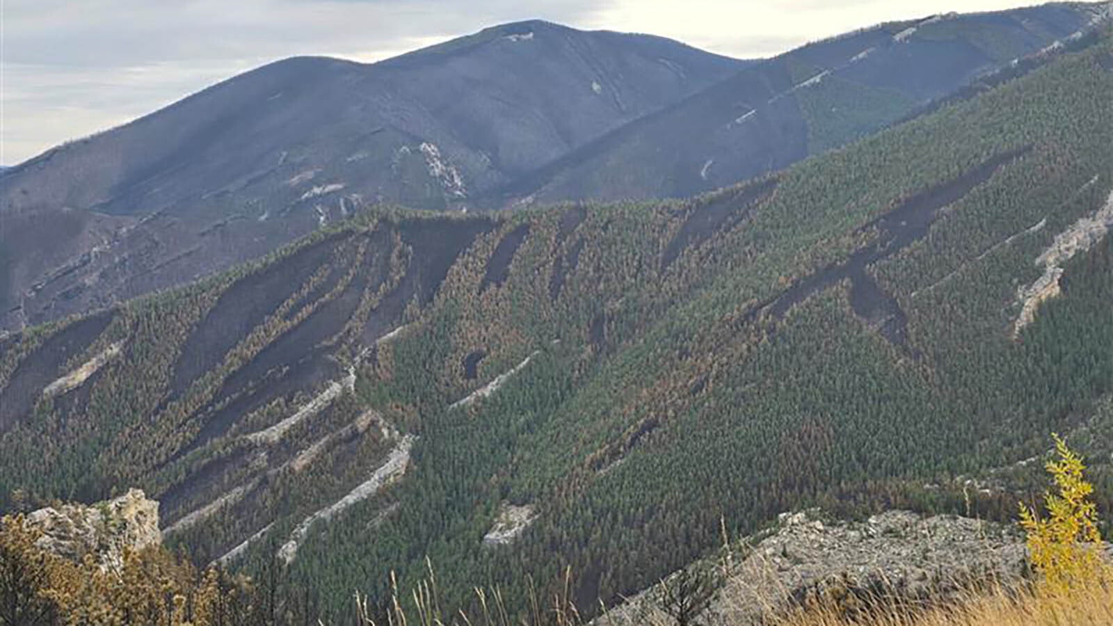 The face of the Bighorn Mountains in northern Wyoming show a mosaic burn pattern from the Elk Fire.