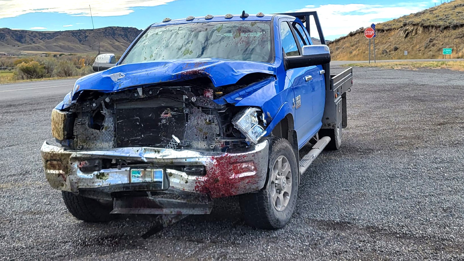 A large Dodge truck was totaled Sunday after it plowed into a herd of elk on Highway 120 near Meeteetse on Sunday.