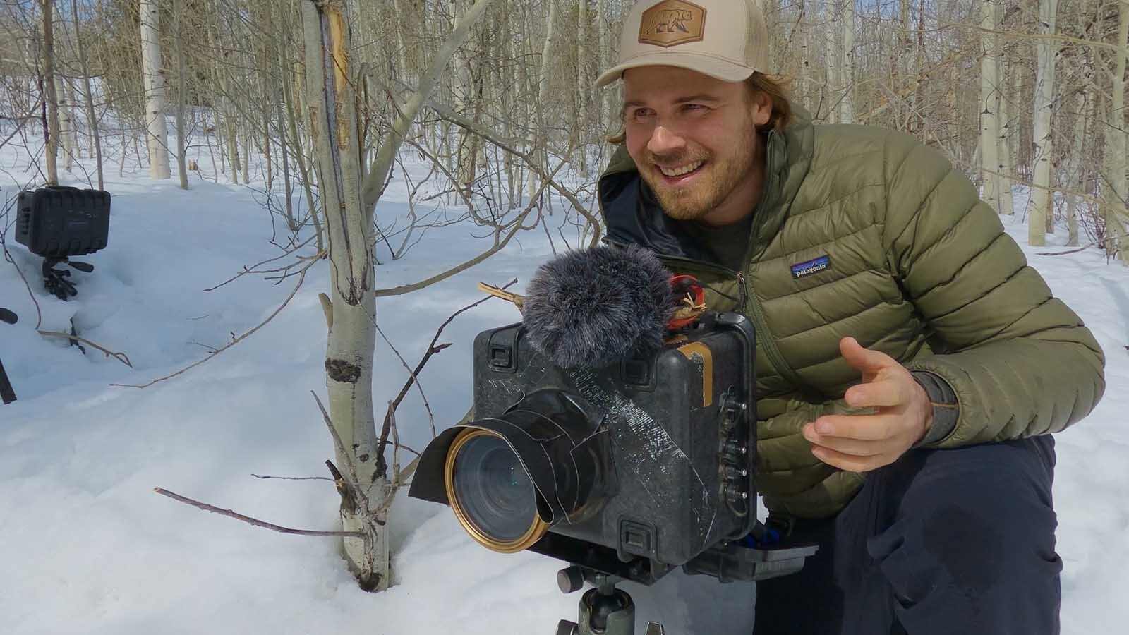 Wildlife filmmaker Jake Davis set up 10 cameras next to an elk carcass near Togwotee Pass and captured images of wolves, foxes and other wildlife consuming the carcass down to the bone.