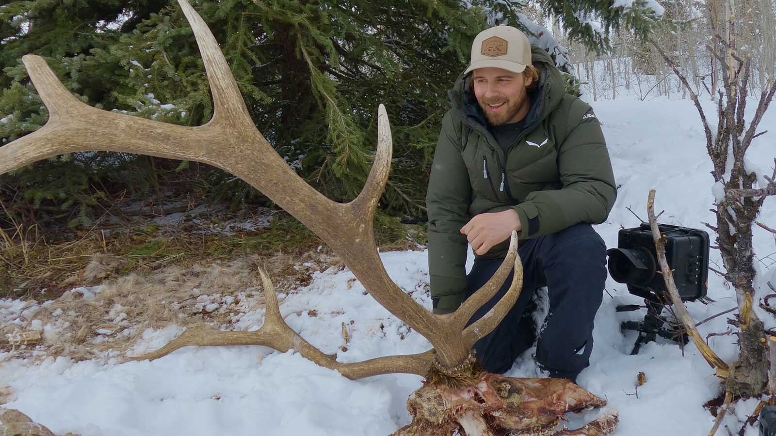 Wildlife filmmaker Jake Davis set up 10 cameras next to an elk carcass near Togwotee Pass and captured images of wolves, foxes and other wildlife consuming the carcass down to the bone.