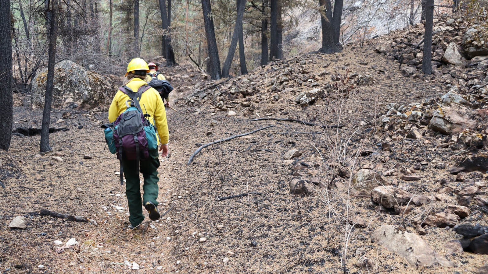 Crews are also in the Elk Fire burn area assessing and repairing damage made during efforts to fight and contain the fire.