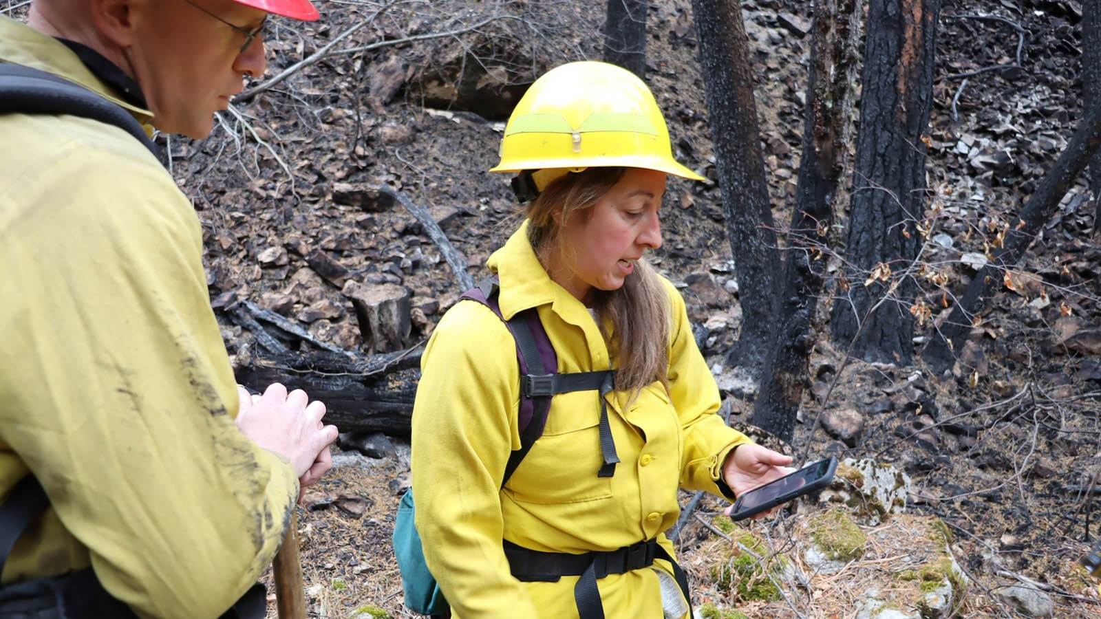 Crews are also in the Elk Fire burn area assessing and repairing damage made during efforts to fight and contain the fire.