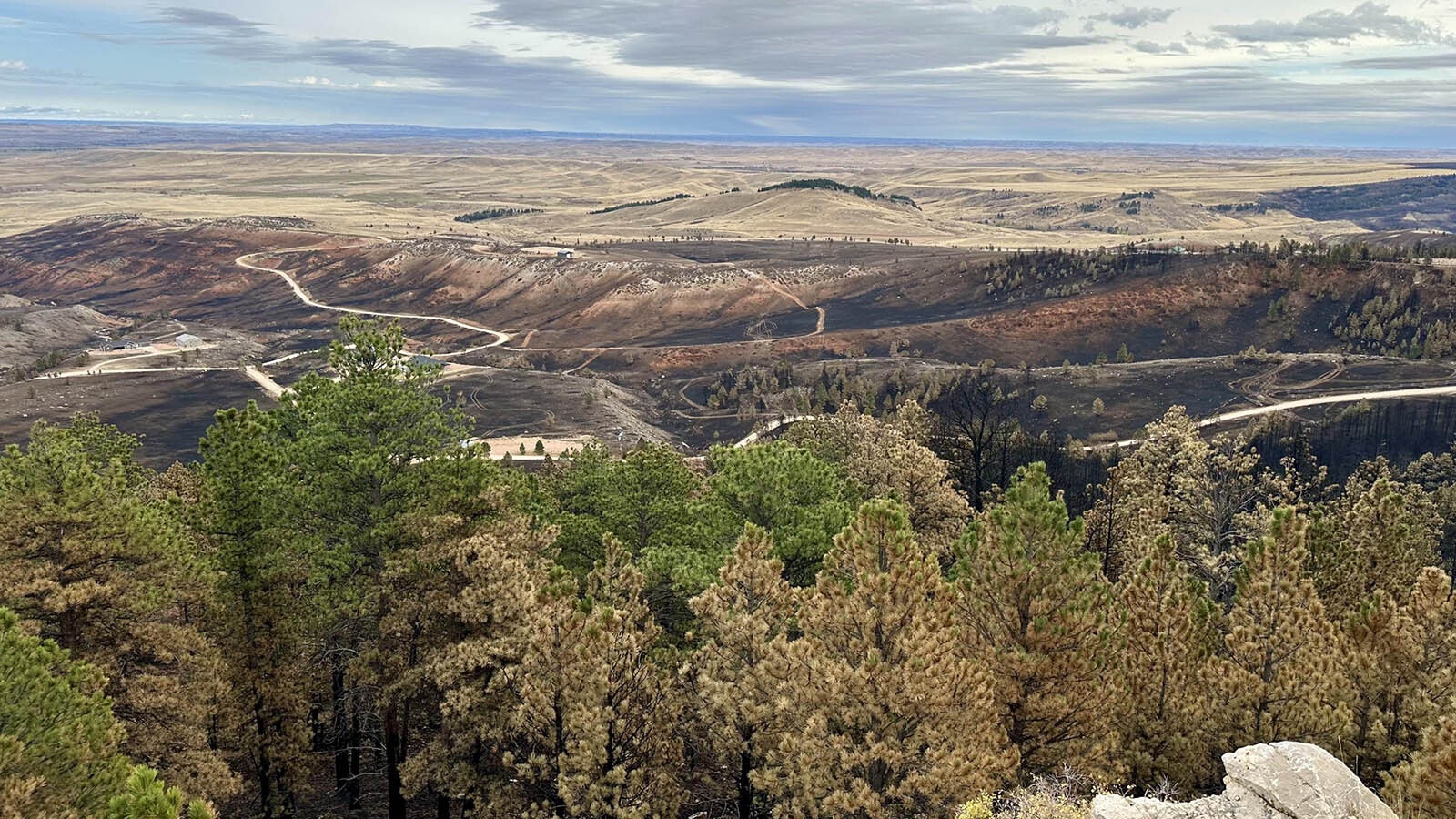 View of part of the Elk Fire burn area from Highway 14.