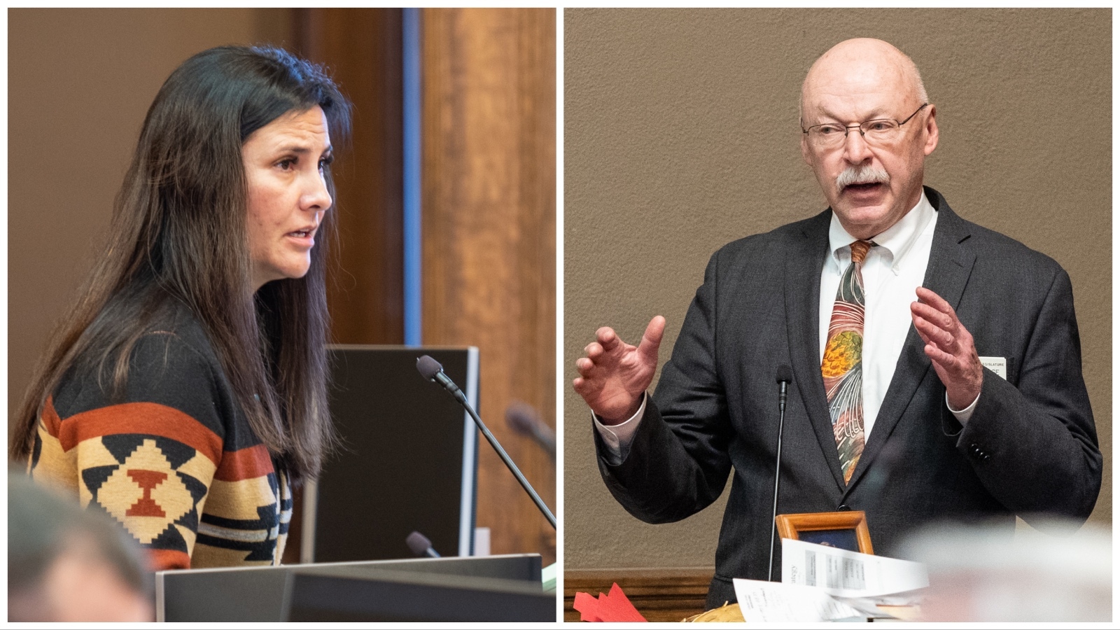 State Sens. Affie Ellis, left, and Cale Case.