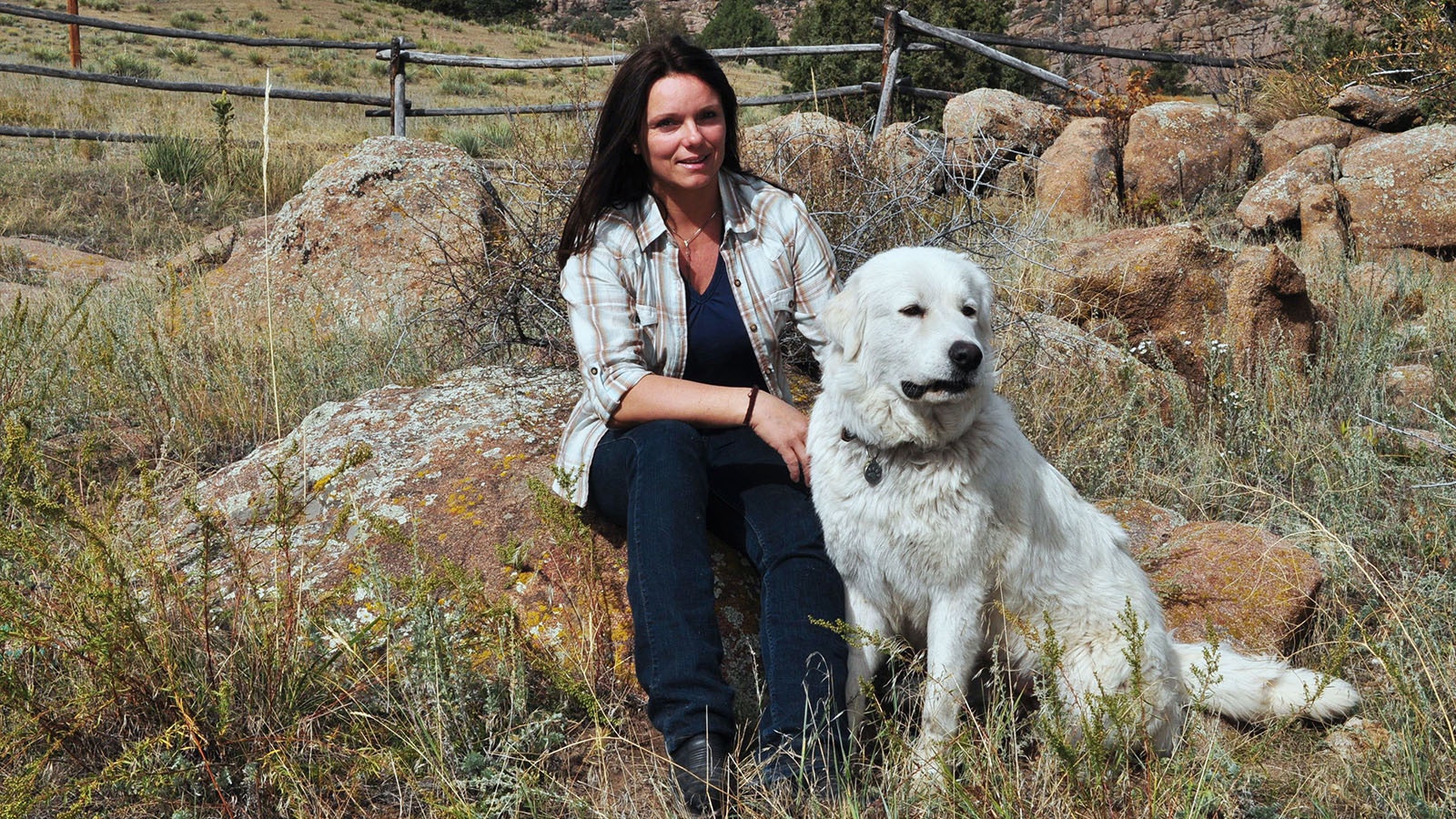Longtime rancher Krisztina Gayler has used livestock guardian dogs to protect sheep and cattle on two continents.