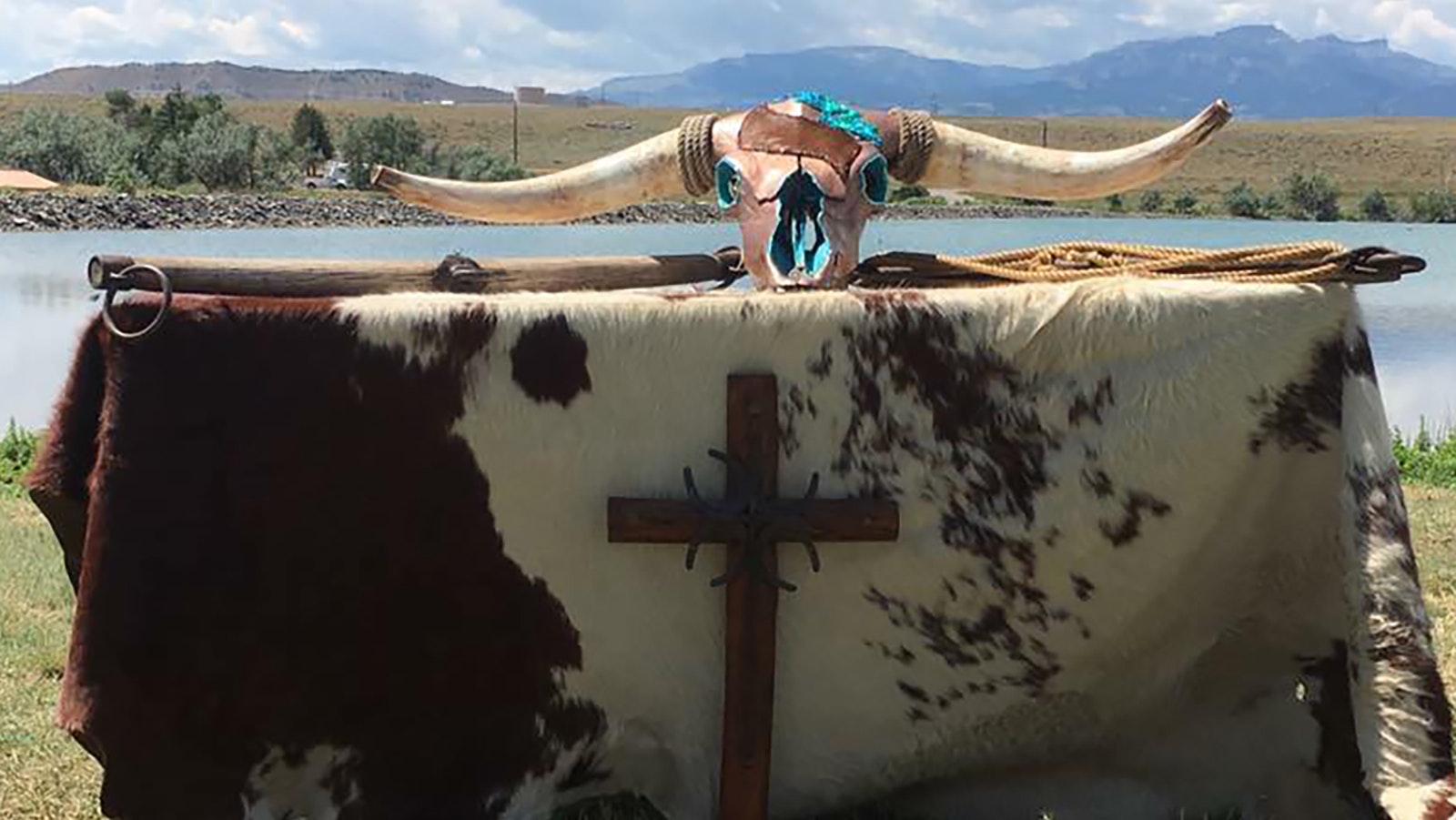 The European mount of this longhorn steer was created by Gelnrock resident Sierra Mortimer.
