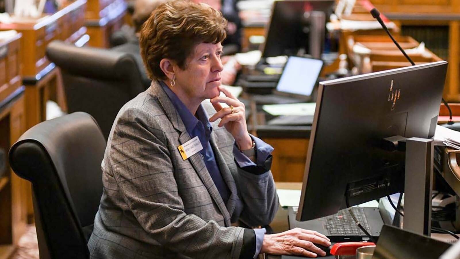State Sen. Wendy Schuler, R-Evanston, wants legislation to make school districts address the issue of students having cellphones in class.