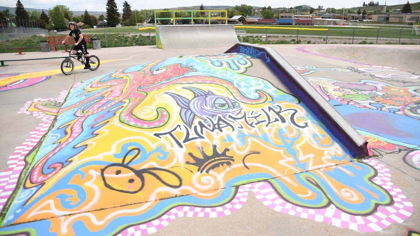 An eclectic design was the theme for artist Chely Gomez, commissioned by the Evanston Parks and Rec Department to add a little color to the local skate park.
