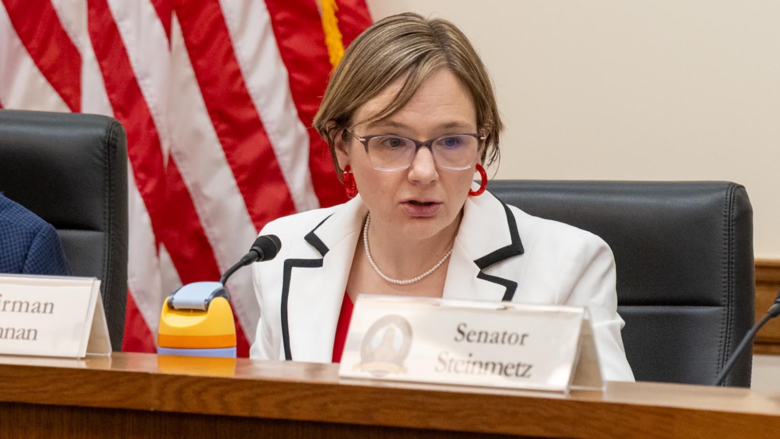 Sen. Evie Brennan, who chairs the Senate Labor Committee, during a debate about Senate File 48 on Friday, Feb. 13, 2026.