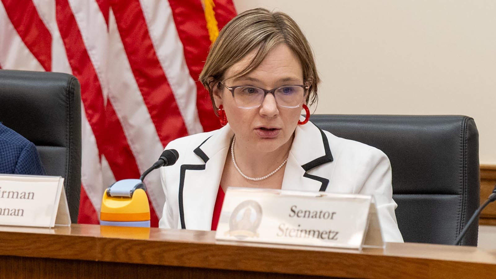 Sen. Evie Brennan, who chairs the Senate Labor Committee, during a debate about Senate File 48 on Friday, Feb. 13, 2026.