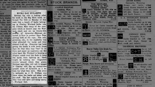 Wyoming History: That Time In 1907 A Cow Ate 19 Sticks Of Dynamite And ...