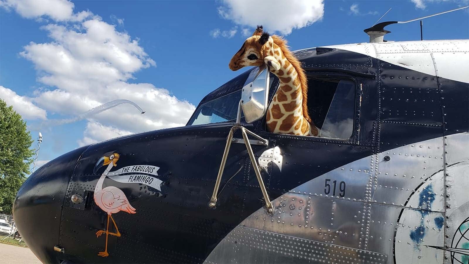 The "Fabulous Flamingo" is a World War II airplane that's been converted into a one-of-a-kind motorhome. It was recently spotted in Wyoming as its owner cruised into Greybull to look at another vintage aircraft that could be converted into a motorhome.