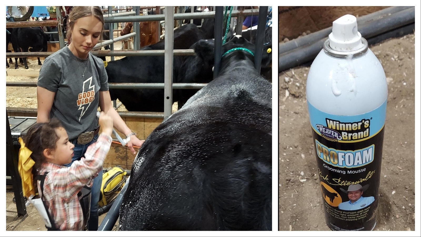 Older sister Emily Acord, 21, helps Morgan, 8, brush her steer, Billy, before the beef show. Part of the primping involves their own hair products to get them gussied up for competition.