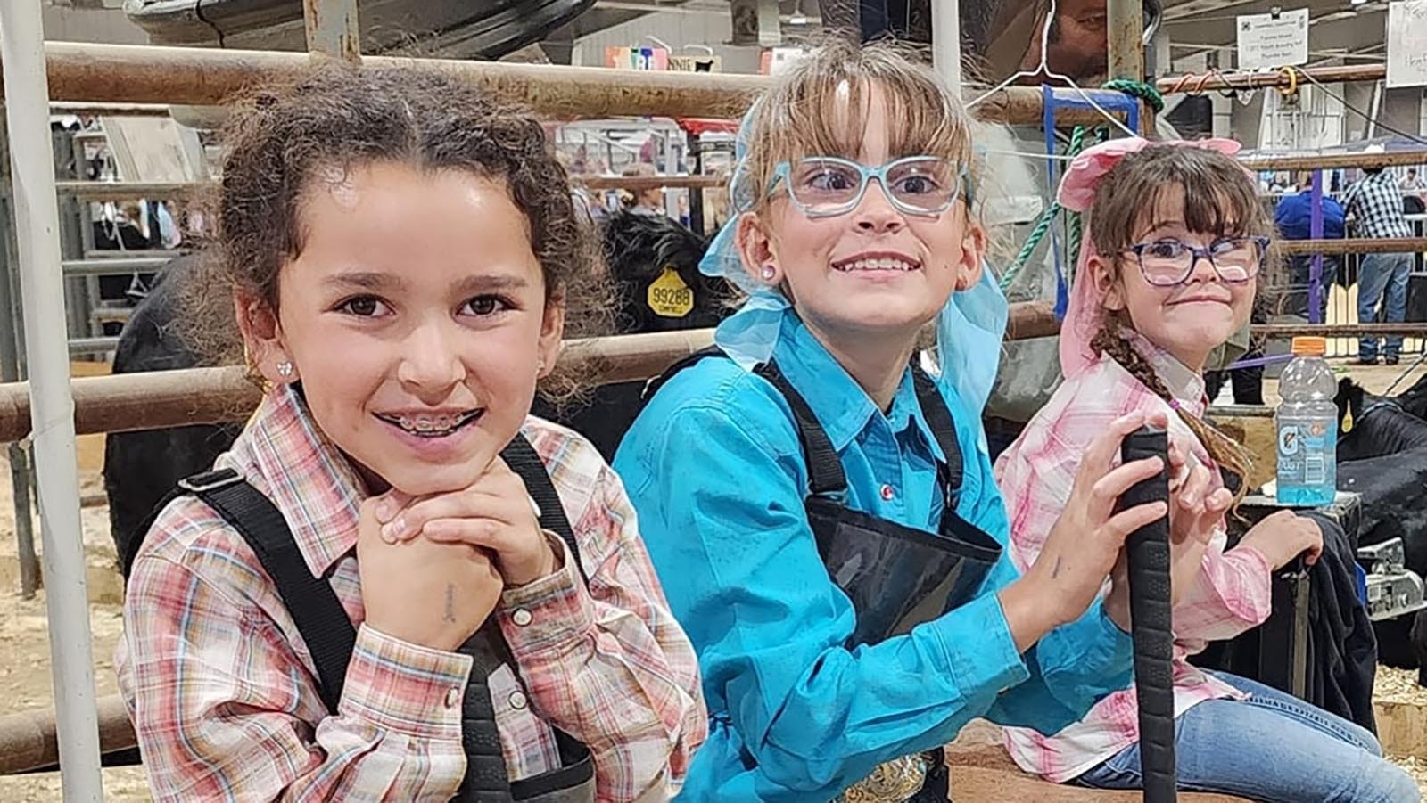 Elkin sisters Morgan, Timber and Reagan wait for their turn to compete in the beef show July 27 at the Campbell County Fair.