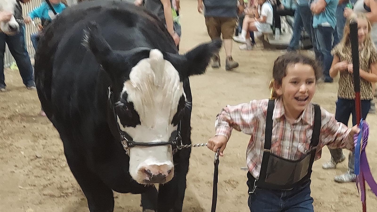 Despite being the smallest of the dozen or so competitors in the junior showmanship division and her first year competing in the beef show, 8-year-old Morgan Elkins wins first place and Grand Champion Junior Showman.