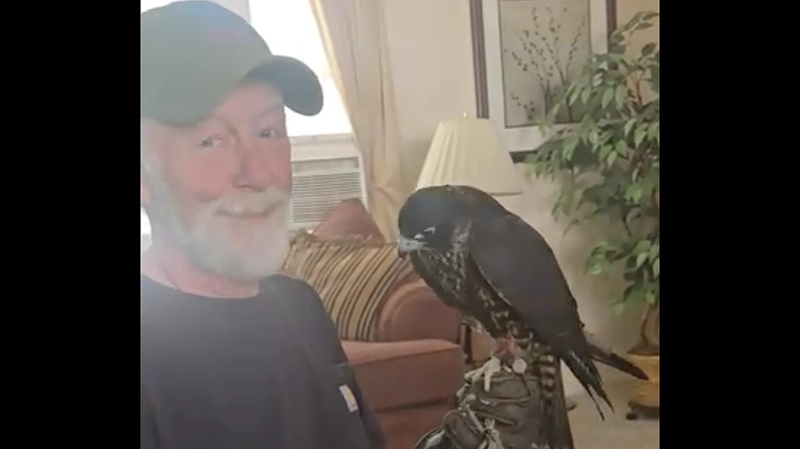 Casper master falconer Jim Osborne holds Kevin on his gloved hand. His daughter, Jaime Wilkison, said he has worked with birds of prey since he was about 8.