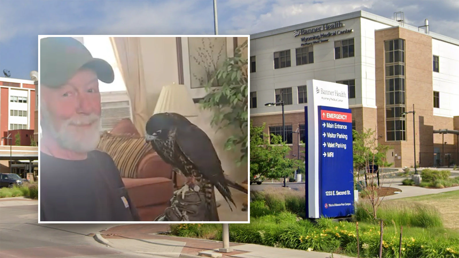 Jim Osborne of Casper had given up hope of ever seeing his beloved falcon, named Kevin, after the raptor went missing for a week. He was “practically in tears” reuniting with the bird when Kevin turned up at a local hospital.