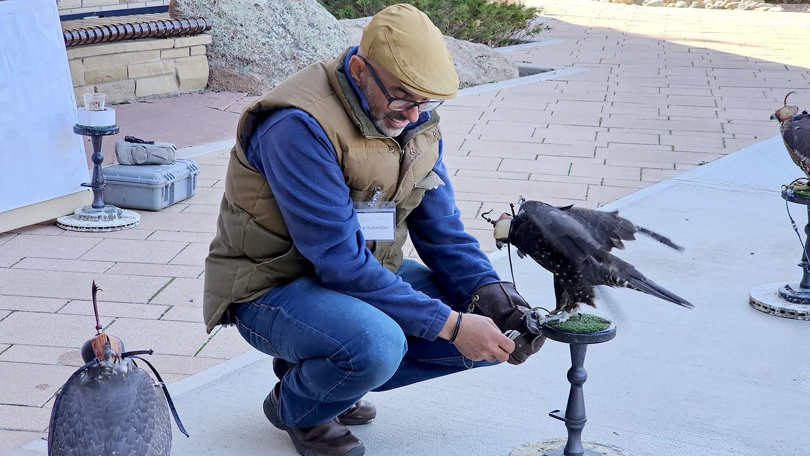 Vahé Alaverdan checks on one of his birds right before a presentation about them.