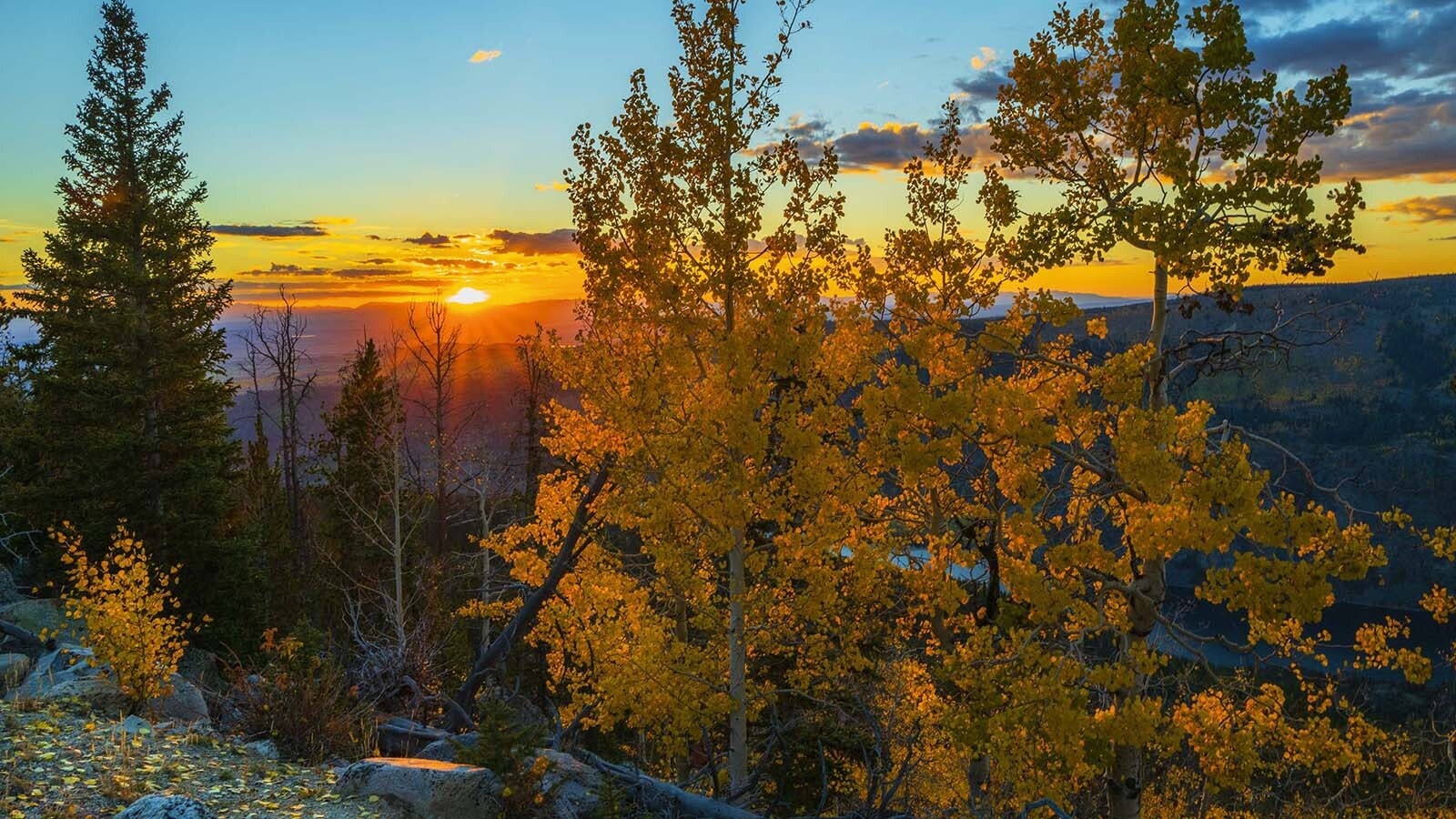 An explosion of color has begun to cover Wyoming's landscapes, and the transition happens fast. Wyomingites who want to see the best and boldest golds, reds and oranges will want to plan and prioritize to ensure they see everything at its peak.